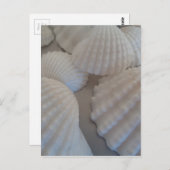Grijs Wit, Seashells, Zee Shell Summer Beach Love Briefkaart (Voorkant / Achterkant)