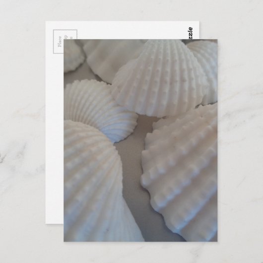 Grijs Wit, Seashells, Zee Shell Summer Beach Love Briefkaart (Voorkant / Achterkant)