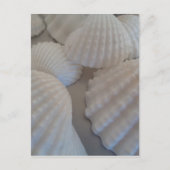 Grijs Wit, Seashells, Zee Shell Summer Beach Love Briefkaart (Voorkant)