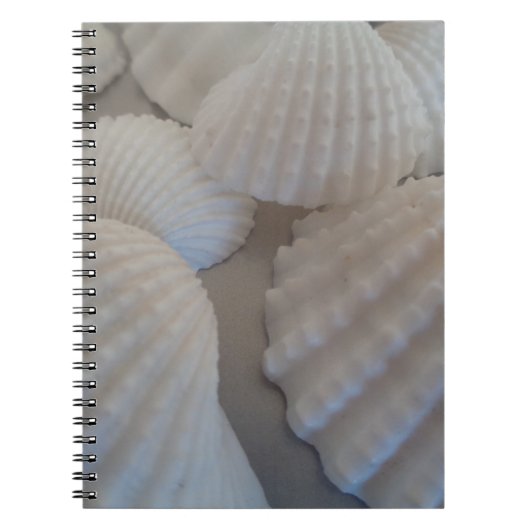 Grijs Wit, Seashells, Zee Shell Summer Beach Love Notitieboek (Voorkant)