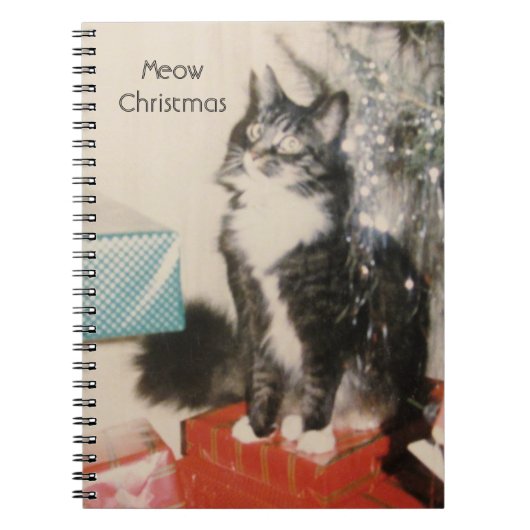 Grijs Witte Kat Notitieboek (Voorkant)