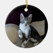 Grijs/witte tabby katje ornament (Voorkant)