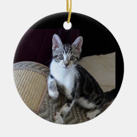 Grijs/witte tabby katje ornament (Voorkant)