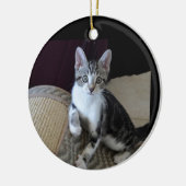 Grijs/witte tabby katje ornament (Links)