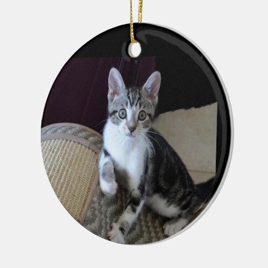 Grijs/witte tabby katje ornament (Links)