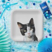 Grijs Zwart Wit Kitty Kat Papieren Bordje (Feest)