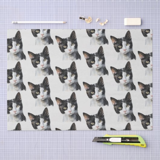 Grijs Zwart Wit Kitty Kat Tissuepapier (Craft)