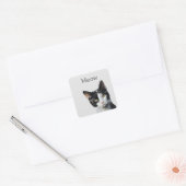Grijs Zwart Wit Kitty Kat Vierkante Sticker (Envelop)