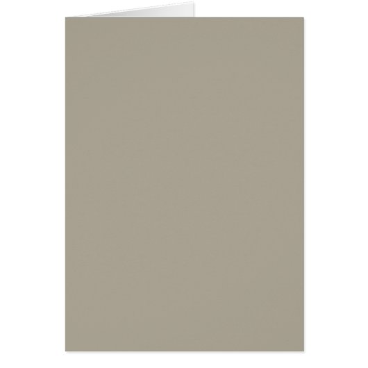 Grijsbeige (Voorkant)