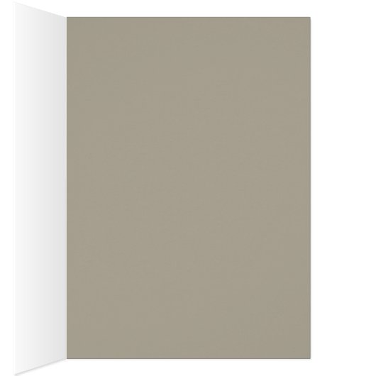 Grijsbeige (Binnen (Rechts))