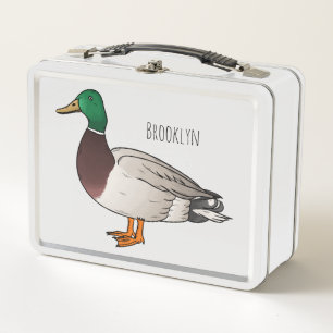 Grijsbuikmierklauwier