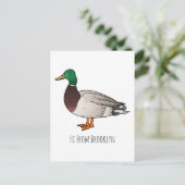 Grijsbuikmierklauwier Briefkaart (Staand voorkant)