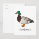 Grijsbuikmierklauwier Briefkaart (Voorkant / Achterkant)