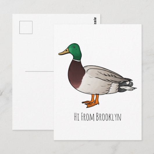 Grijsbuikmierklauwier Briefkaart (Voorkant / Achterkant)