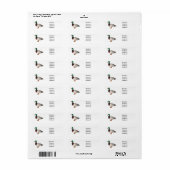 Grijsbuikmierklauwier Etiket (Full Sheet)