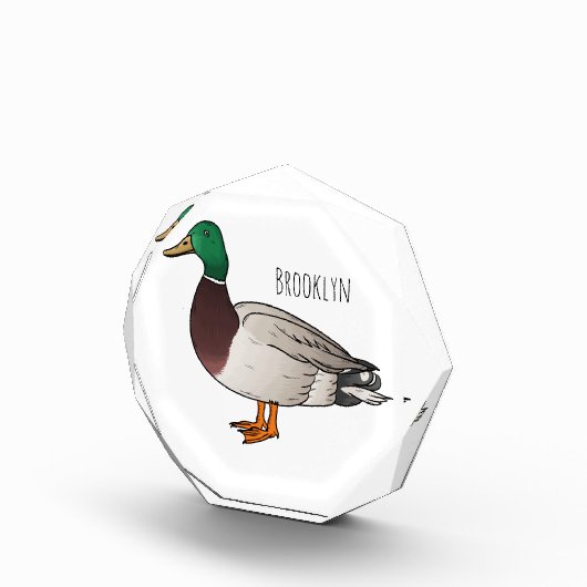 Grijsbuikmierklauwier Fotoblokken (Rechts)