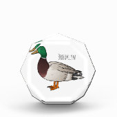 Grijsbuikmierklauwier Fotoblokken (Voorkant)