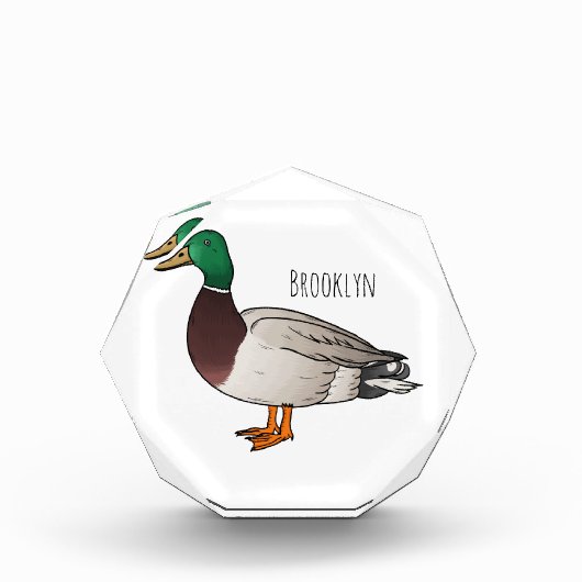 Grijsbuikmierklauwier Fotoblokken (Voorkant)