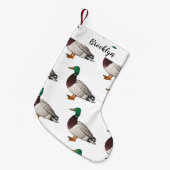 Grijsbuikmierklauwier Kleine Kerstsok (Voorkant (Hangend))