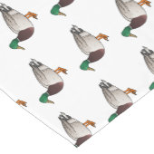 Grijsbuikmierklauwier Korte Tafelloper (Hoek)