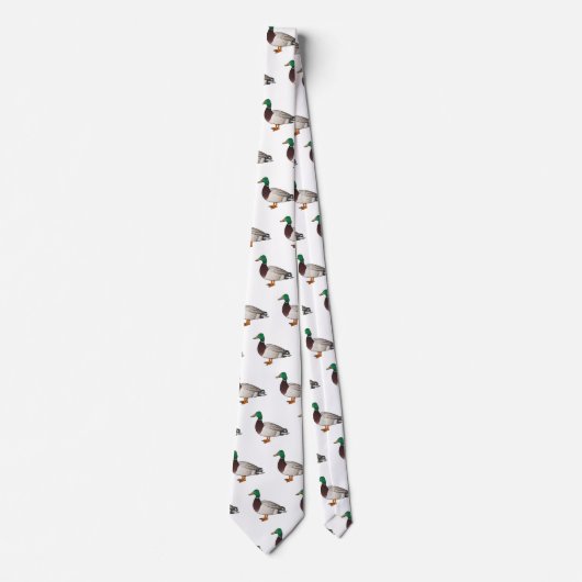 Grijsbuikmierklauwier Stropdas (Voorkant)