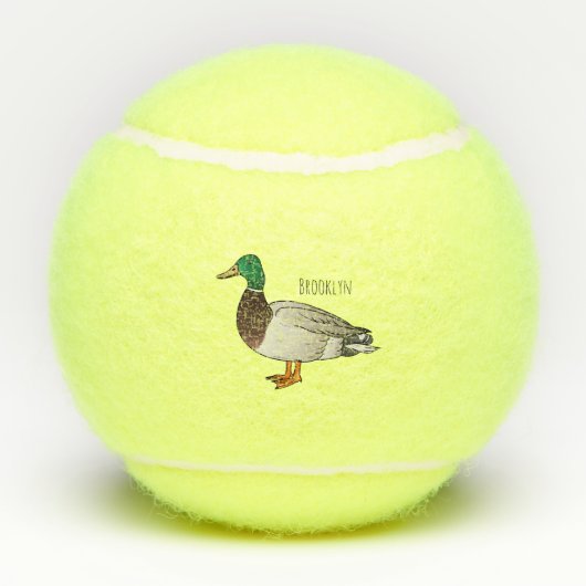 Grijsbuikmierklauwier Tennisballen (Achterkant)
