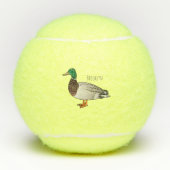 Grijsbuikmierklauwier Tennisballen (Voorkant)