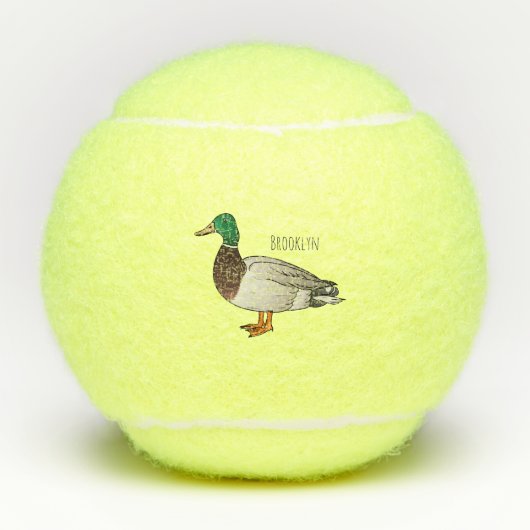Grijsbuikmierklauwier Tennisballen (Voorkant)