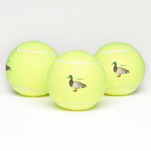Grijsbuikmierklauwier Tennisballen (Multi)