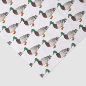 Grijsbuikmierklauwier Tissuepapier (Detail)