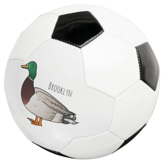 Grijsbuikmierklauwier Voetbal (Drie kwart)