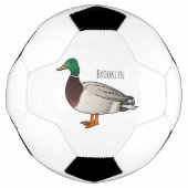 Grijsbuikmierklauwier Voetbal (Voorkant)