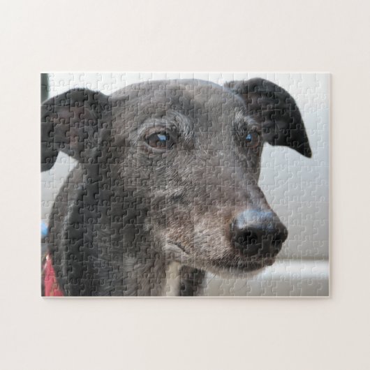 Grijshouppuzzel (p99) Diesel Legpuzzel (Horizontaal)