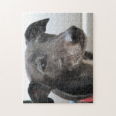 Grijshouppuzzel (p99) Diesel Legpuzzel (Verticaal)