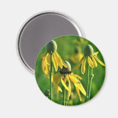 Grijskop Coneflower Magnet (Voorkant / Achterkant)