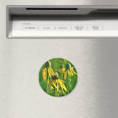 Grijskop Coneflower Magnet (Insitu (Vaatwasser))