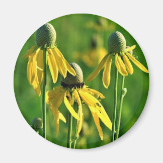Grijskop Coneflower Magnet