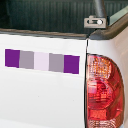 Grijsseksuele trots bumpersticker (Op Truck)