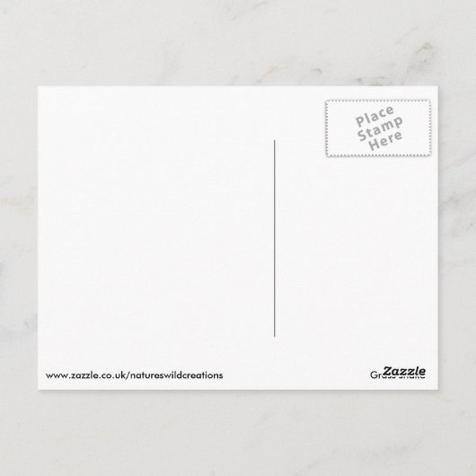 Grijsslang Briefkaart (Achterkant)