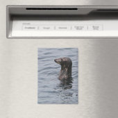 grijszegelmagneet magneet (Insitu (Vaatwasser))