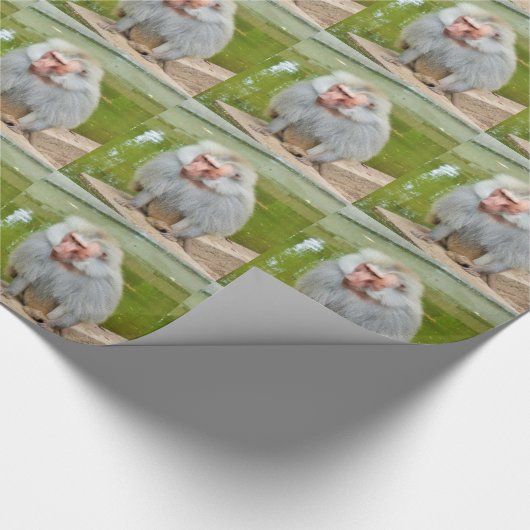 Grijze aap, Ape Macaque, Natuur, dierlijk wild Cadeaupapier (Hoek)