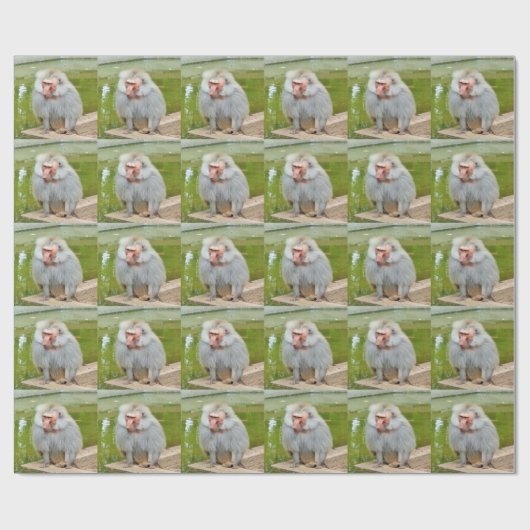 Grijze aap, Ape Macaque, Natuur, dierlijk wild Cadeaupapier (Vlak)