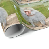 Grijze aap, Ape Macaque, Natuur, dierlijk wild Cadeaupapier (Rol Hoek)
