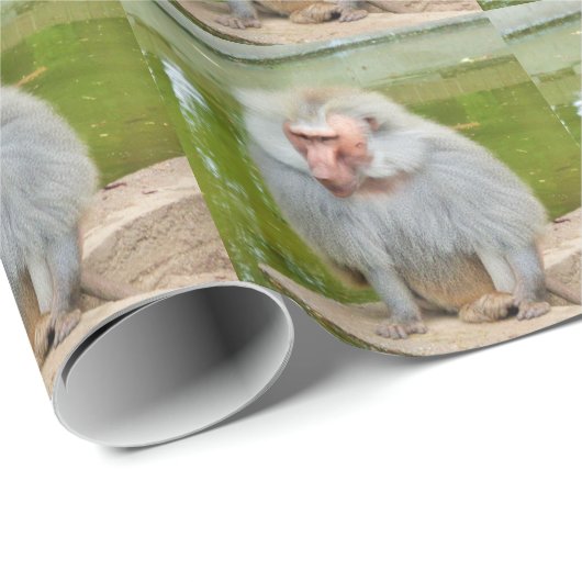 Grijze aap, Ape Macaque, Natuur, dierlijk wild Cadeaupapier (Rol Hoek)