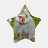 Grijze aap, Ape Macaque, Natuur, dierlijk wild Keramisch Ornament (Rechts)