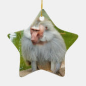 Grijze aap, Ape Macaque, Natuur, dierlijk wild Keramisch Ornament (Voorkant)