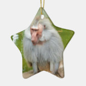 Grijze aap, Ape Macaque, Natuur, dierlijk wild Keramisch Ornament (Links)