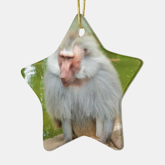 Grijze aap, Ape Macaque, Natuur, dierlijk wild Keramisch Ornament (Links)