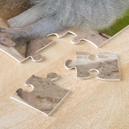 Grijze aap, Ape Macaque, Natuur, dierlijk wild Legpuzzel (Zijkant)