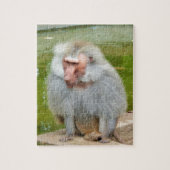 Grijze aap, Ape Macaque, Natuur, dierlijk wild Legpuzzel (Verticaal)